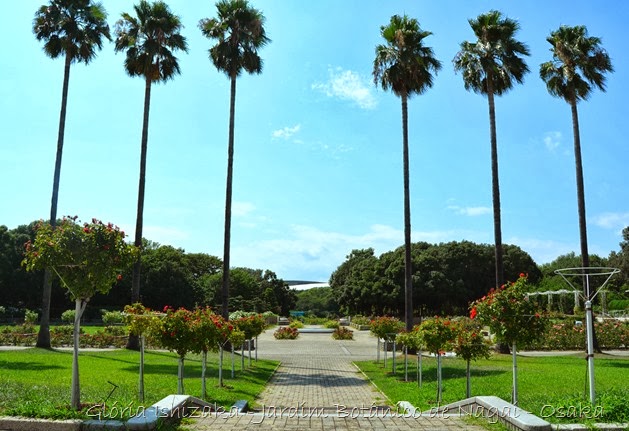 34 - Glória Ishizaka - Jardim Botânico Nagai - Osaka