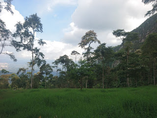 cerro quinini