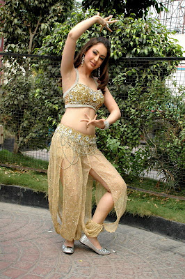 Hot Actress Preeti Jhangiani in Telugu Movie Tejam Photo Gallery at http://http://celebsaroundtheglobez.blogspot.com/