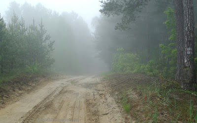 http://fotobabij.blogspot.com/2015/10/lasy-budziarze-szlakem-walk.html