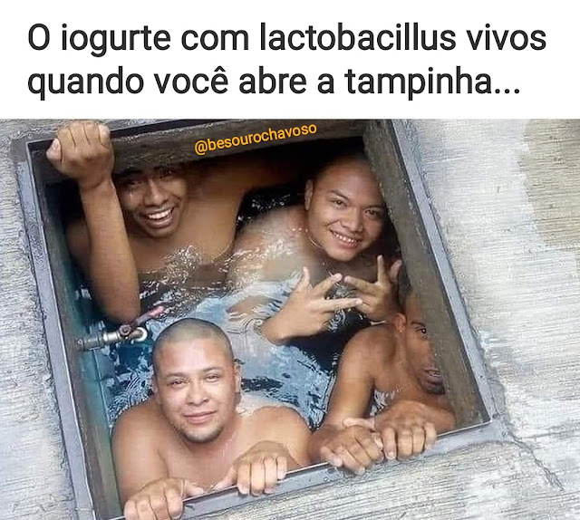 Memes engraçados