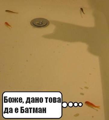 рибки и Батман