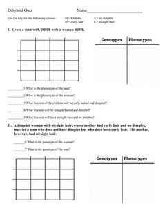 dihybrid cross worksheet - DOCWorksheet Dihybrid Crosses