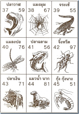 สัตว์ 37-45