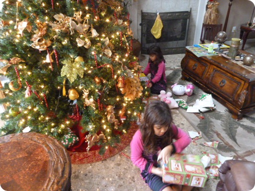 Christmas 2011 043