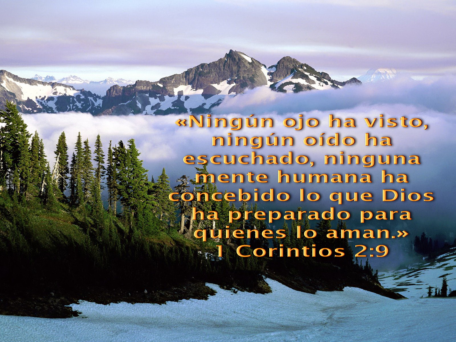 Biblia Paisajes Y Maravillas 1 Corintios 29