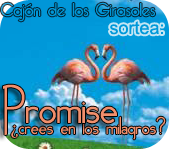 Sorteo de Promise