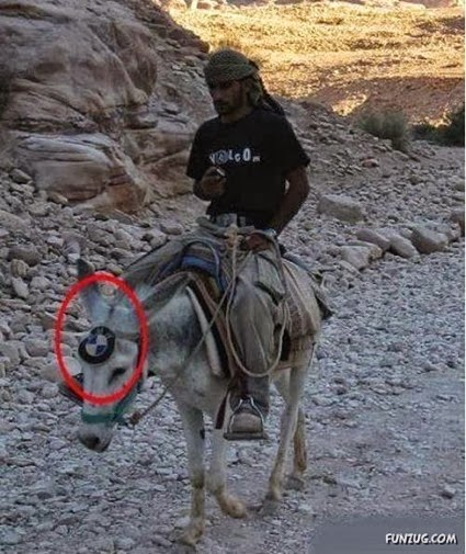 bmw  donkey