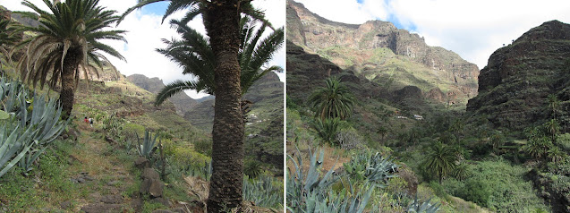 LA GOMERA EL RUMBAZO-IMADA-PAJARITO-MIRADOR LOS ROQUES-BENCHIJIGUA-EL RUMBAZO, Barranco de Guarímiar