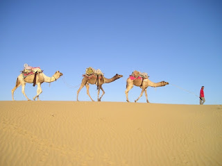 Caravan with man leading 3 camels in the desert photo by Simon at https://pixabay.com/photos/india-desert-camels-caravan-356/