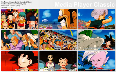 Download Film / Anime Dragon Ball Z Majin Buu Saga Episode 213 Bahasa Indonesia