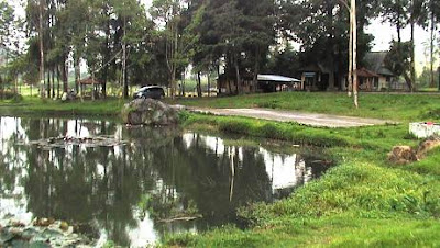 Bumi Perkemahan Ranca Upas Bandung