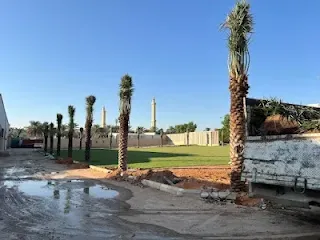 ممرات حجرية جذابة