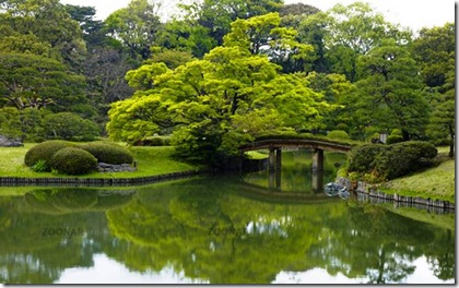 beautiful-gardens-rikugien-4