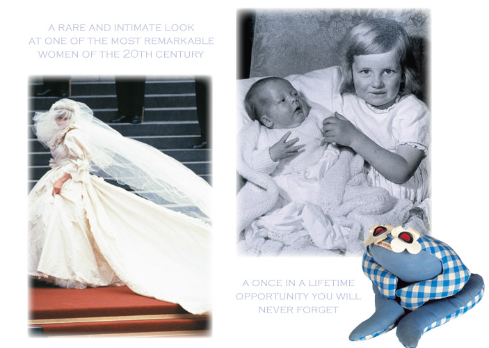 princess diana crash injuries. car crash injuries,