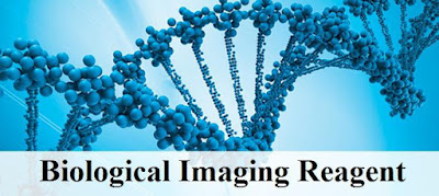 Global Biological Imaging Reagent