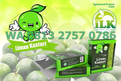 √ Gambar Limau Kasturi ⭐ Bisnis MLM Baru ✅ Bisnis Online