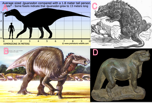 (A) Tamaño y (B) representación artística moderna del iguanodón, la representación de los dinosaurios ha cambiado mucho con los años, en las primeras representaciones (C y D) se percibían a los dinosaurios como animales lentos, de sangre fría y cuadrúpedos.
