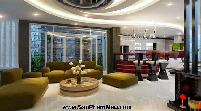 Biệt thự vườn phố của chủ nhân cá tính-2