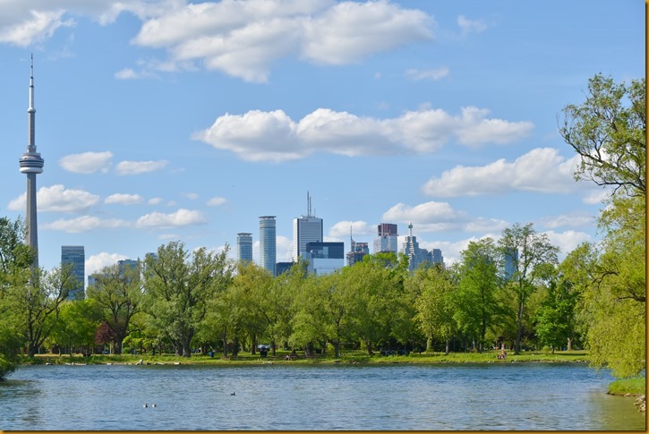 DSC_0485