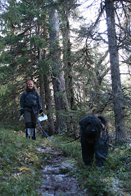 Vålådalens naturreservat