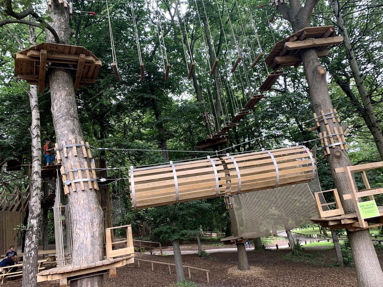 Go Ape Temple Newsam Review And Discount Code Girl Up North