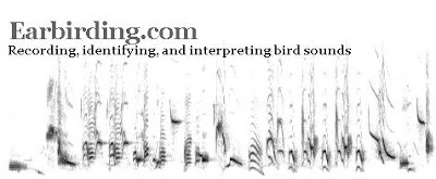 earbirding.com header