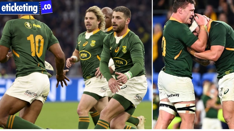 Springboks have built some depth during challenging year