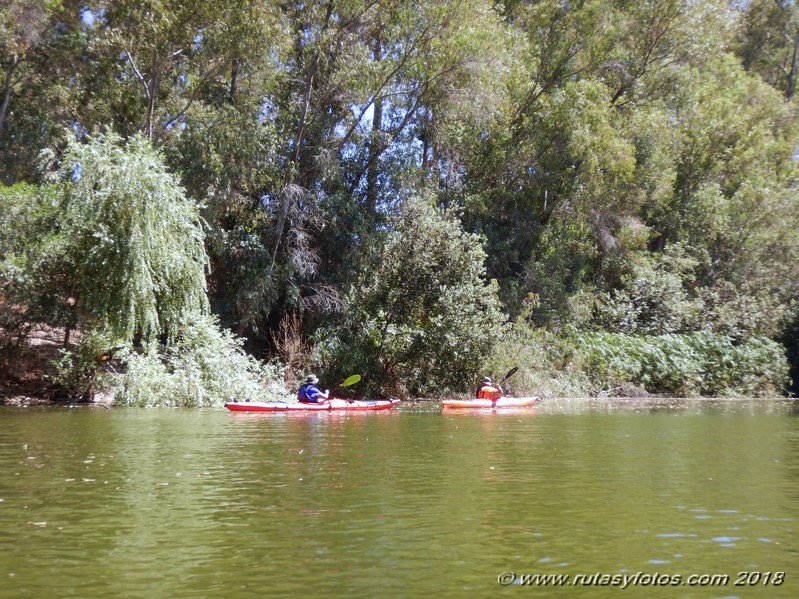 Kayak río Palmones