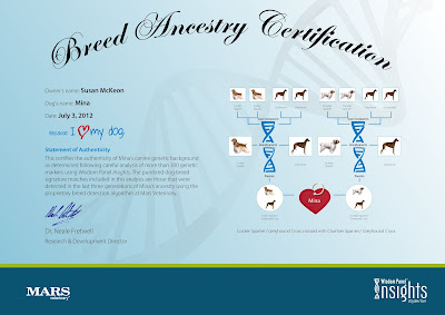 Mina's Breed Ancestry Certificate