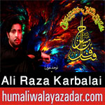 http://www.humaliwalayazadar.com/2017/10/ali-raza-karbalai-nohay-2018.html