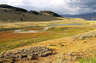 yellow national park