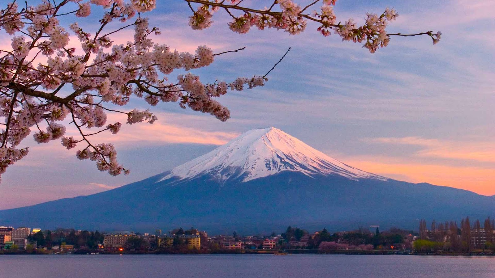 Gunung Fuji Kartun Info Tiket
