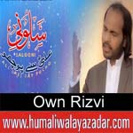 http://www.humaliwalayazadar.com/2018/03/own-rizvi-manqabat-2018.html