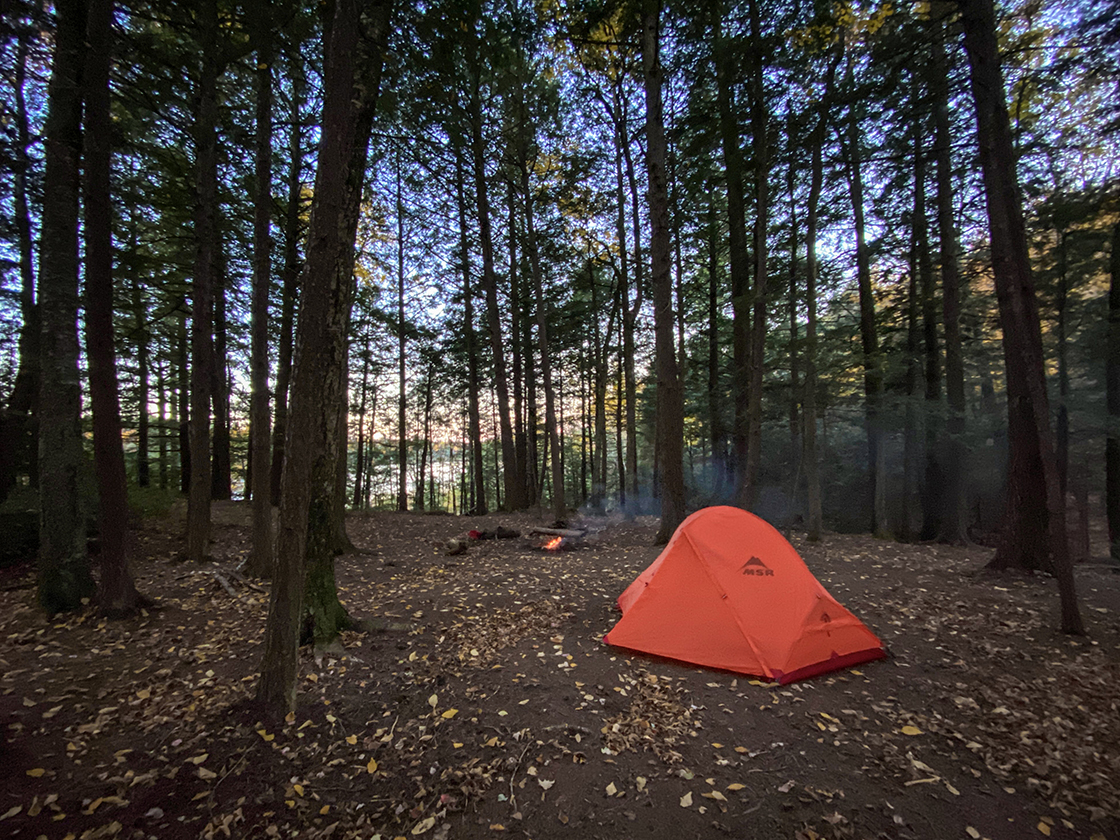 tent beneath pines overlooking lake