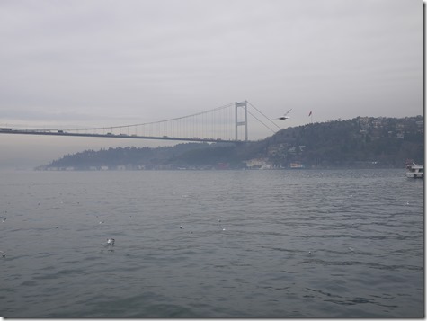 P1190331