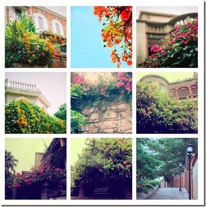 GuLangYu.Xiamen 鼓浪嶼.廈門61