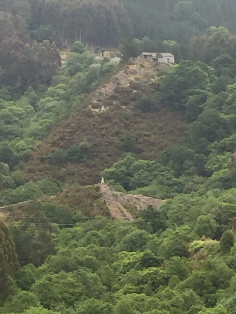 Spain, Marronda forest and the Eo River   by E.V.Pita (2015)  http://evpita.blogspot.com/2015/06/spain-marronda-forest-and-eo-river.html   Fraga de Marronda - río Eo (Baleira, Lugo)  por E.V.Pita (2015)