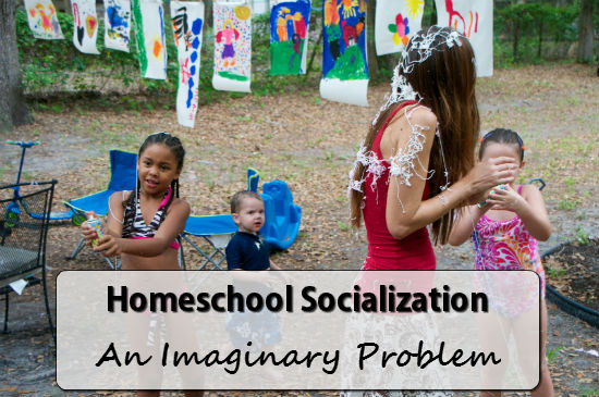 Homeschool Socialization is NOT a real problem.