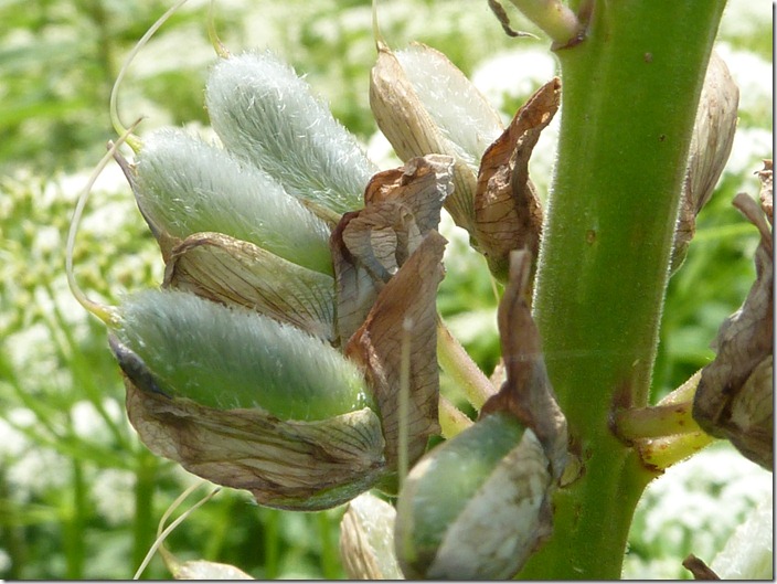 P1100390