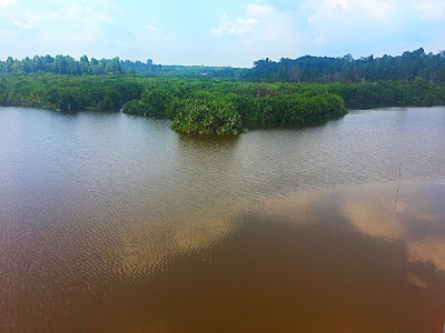 Largest natural fresh water lake in Malaysia