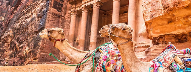 Egypt Christmas and petra New Year Celebration