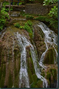 DSC_3598