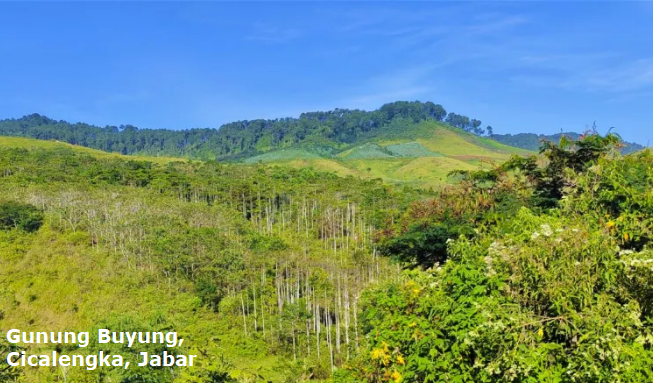 Profil Gunung Buyung (1.440 mdpl), Cicalengka, Jabar