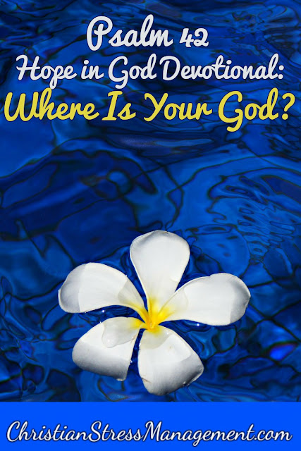 Psalm 42 Hope in God Devotional: Where Is Your God? 