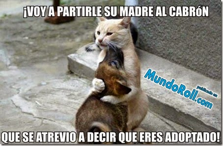 .com/img/b/R29vZ2xl/AVvXsEgi0nwfREtU_ilH8YmJcMdcOdvW3B2m11bNSaD1dA_dEdg7dkuWHH6Pj8CsfkARDXkVP3_MpqxIY4qdPAN_u97Mvnqip0J3APt5yXpd-e_4-K-romRnV2gwNE9jO7NPDOAM2ZNAMEkGCInG/