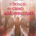 Questa settimana in libreria: "Il bosco dei cuori addormentati" di Esther Sanz