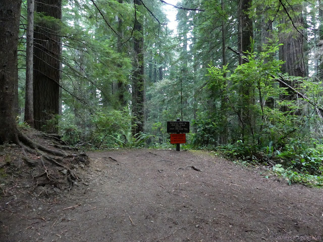 sign and warning at the trail down Damnation