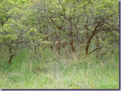mini_DSC05047