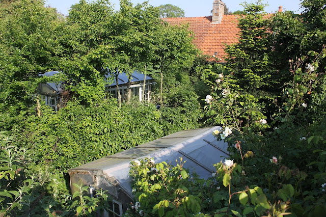 Organic forest garden with rose canopy